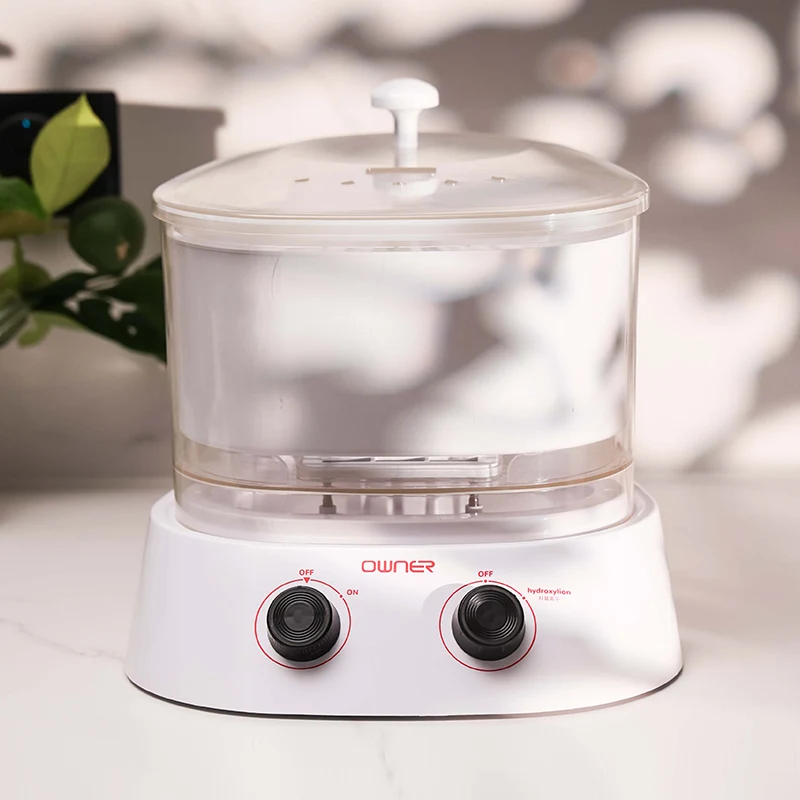 Máquina de limpieza de alimentos de iones